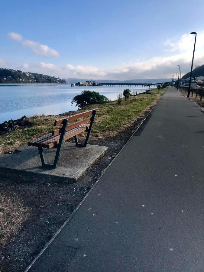 Willa Harbour Side Views Dunedin Zewnętrze zdjęcie